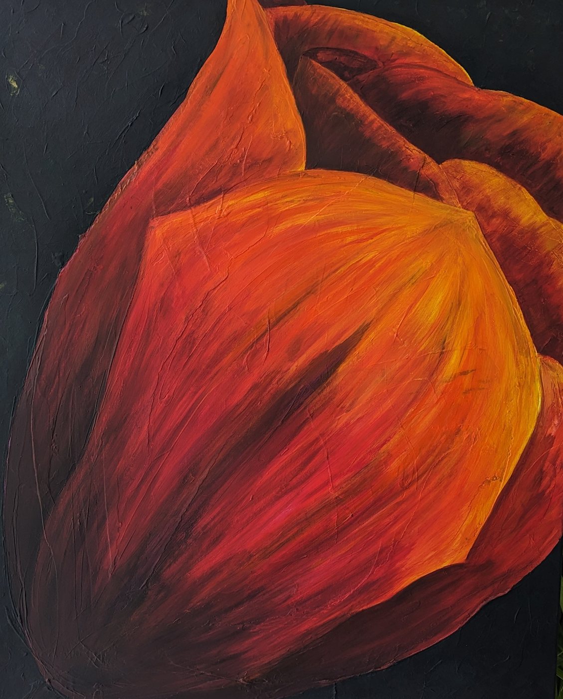 Tulip, photo 1 of 7